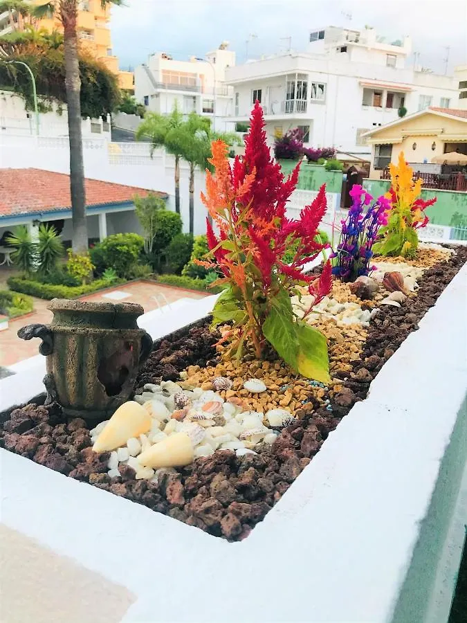 Apartamento Tropical Con Piscina Zona Taoro Puerto De La Cruz Puerto de la Cruz (Tenerife)
