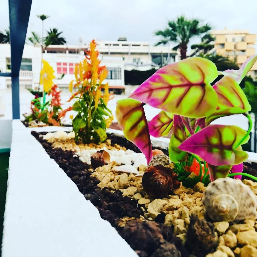 Apartamento Tropical con piscina Zona Taoro Puerto de la Cruz Puerto de la Cruz (Tenerife)